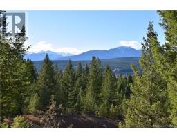 7045 White Tail Lane Lot 24, Radium Hot Springs, BC V0A1M0 Photo 4