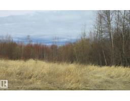 14 Southshore Estates Dr, Widewater, AB T0G2M0 Photo 2