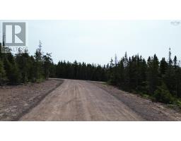 Lot 8 Highway 247, Grand Greve, NS B0E3B0 Photo 4