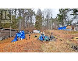 1038 Pike Lane, Dysart Et Al, ON K0M1S0 Photo 4