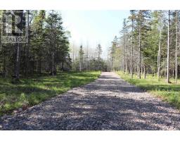 Lot Forest Glade Road, Forest Glade, NS B0S1N0 Photo 3