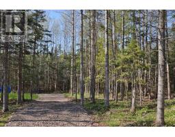 Lot Forest Glade Road, Forest Glade, NS B0S1N0 Photo 4