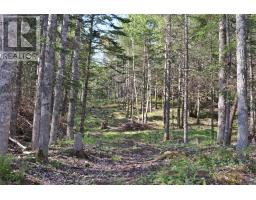 Lot Forest Glade Road, Forest Glade, NS B0S1N0 Photo 5