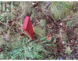 Lot N 1 Port Latour Road, Reynoldscroft, NS B0W1E0 Photo 4