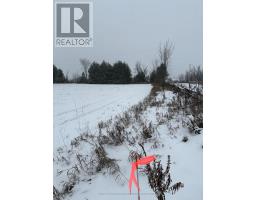 0 Cooney Island Road, Dourodummer, ON K0L2H0 Photo 2