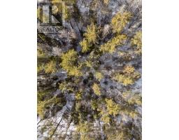 00 Pineview Court, Marmora And Lake, ON K0K2M0 Photo 5