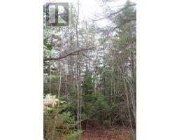 Lot Mirror Point Drive, Graywood, NS B0S1A0 Photo 4