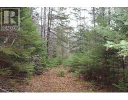 Lot Mirror Point Drive, Graywood, NS B0S1A0 Photo 2