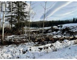 170 180 Langley Avenue, Fraser Lake, BC V0J1S0 Photo 3