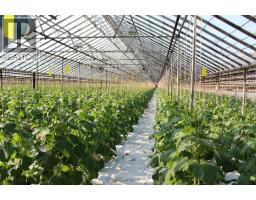 Bedroom - 725 Mersea Rd 6 East, Leamington, ON N8H3V8 Photo 5