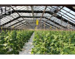 Recreation room - 725 Mersea Rd 6 East, Leamington, ON N8H3V8 Photo 4