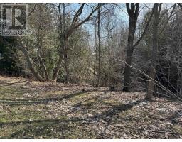 0 Clarendon Street E, Saugeen Shores, ON N0H2L0 Photo 5