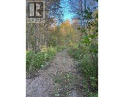 River Rd, Walford, ON P0P2E0 Photo 3