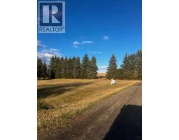 228 2 Street S, Huxley, AB T0A1X0 Photo 3