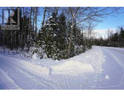 Pt Lt 36 Walter Charman Drive, Northern Bruce Peninsula, ON N0H2M0 Photo 5