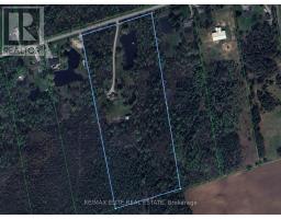 Kitchen - 4909 Holborn Road, East Gwillimbury, ON L0G1M0 Photo 3