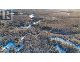 Pt Lt 3 Concession 6, North Kawartha, ON K0L1A0 Photo 4