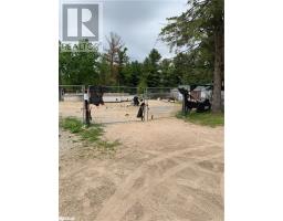 8240 Main Street, Adjalatosorontio, ON L0M1M0 Photo 4