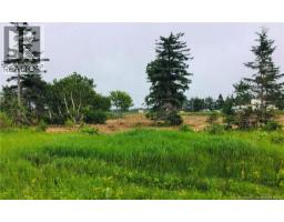 2 9 Acres Route 113, Hautlameque, NB E8T3L4 Photo 3