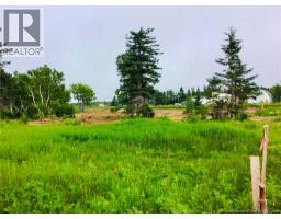 2 9 Acres Route 113, Hautlameque, NB E8T3L4 Photo 5