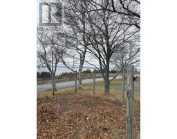 Eat in kitchen - 2162 New Waterford Highway, South Bar, NS B1N3H7 Photo 3