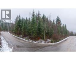 Lot 74 Sunset Drive, Eagle Bay, BC V0E1T0 Photo 4