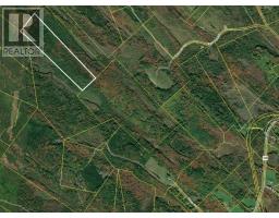 Lot Silver Road, Nineveh, NS B0R1E0 Photo 3