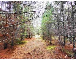 Lot Silver Road, Nineveh, NS B0R1E0 Photo 4