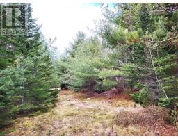 Lot Silver Road, Nineveh, NS B0R1E0 Photo 5