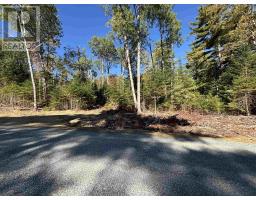 Lot 2 23 Highway 325, West Clifford, NS B4V8H3 Photo 4