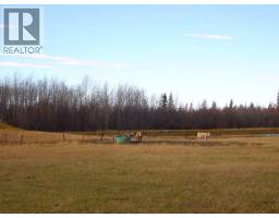 33 82 19 W 5, Rural Northern Sunrise County, AB T8S1R8 Photo 4