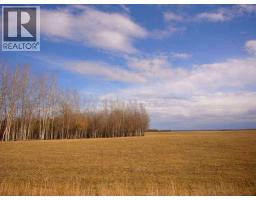 33 82 19 W 5, Rural Northern Sunrise County, AB T8S1R8 Photo 3