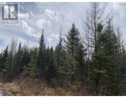 Lot Hunter West Road Wentworth Valley Preserve, Wentworth Valley, NS B0M1Z0 Photo 4