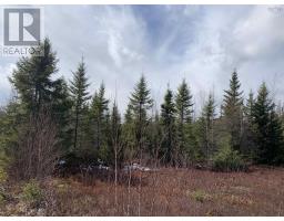 Lot Hunter West Road Wentworth Valley Preserve, Wentworth Valley, NS B0M1Z0 Photo 5