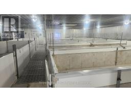 280354 Artemesia Southgate Townline, Southgate, ON N0C1L0 Photo 4