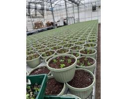 430 Concession 7 Road, Niagaraonthelake, ON L0S1S0 Photo 5