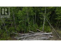 Block 1 Pearl Lane Lot 11 Lot 15 Pearl Road, Hillsvale, NS B0N1Z0 Photo 3