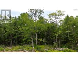 Block 1 Pearl Lane Lot 11 Lot 15 Pearl Road, Hillsvale, NS B0N1Z0 Photo 5