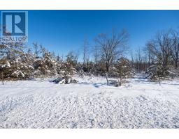 0 County Rd 41, Greater Napanee, ON K0K2W0 Photo 4