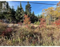 Lots Highway 331, Voglers Cove, NS B0J2H0 Photo 4