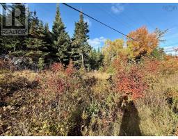 Lots Highway 331, Voglers Cove, NS B0J2H0 Photo 5