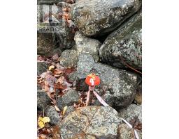 Lot 2021 1 Crocker Road, Harmony, NS B0P1R0 Photo 4