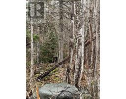 Lot 2021 1 Crocker Road, Harmony, NS B0P1R0 Photo 3
