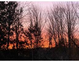 3863 Coachstone Way, Abbotsford, BC V2S8G7 Photo 5