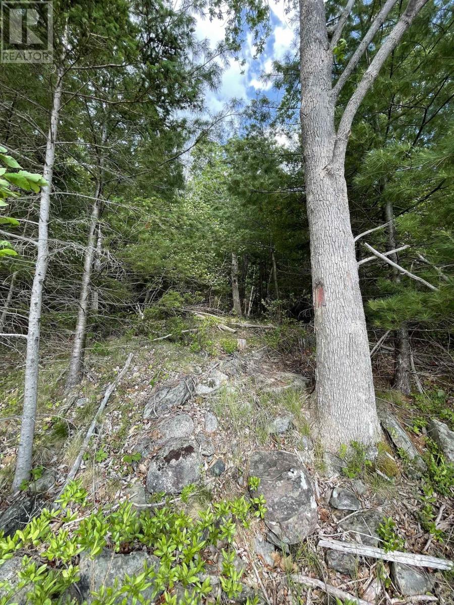 Lot 108 East Clifford Road