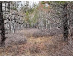 2457 Coldwater Road Unit Lot 9, Merritt, BC V1K1B8 Photo 3