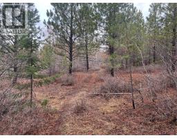 2457 Coldwater Road Unit Lot 9, Merritt, BC V1K1B8 Photo 5