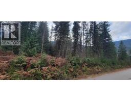 166 Ruby Range Road, Summit Lake, BC V0G2S0 Photo 5