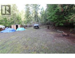 Bedroom - 7629 Mountain Drive, Anglemont, BC V0E1M8 Photo 5