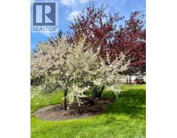 Bedroom - 20 4th Avenue E, Neilburg, SK S0M2C0 Photo 5